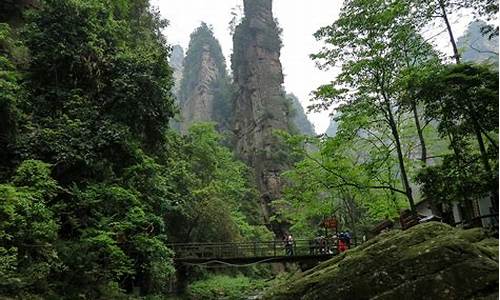 武汉到张家界旅游攻略及费用_武汉到张家界