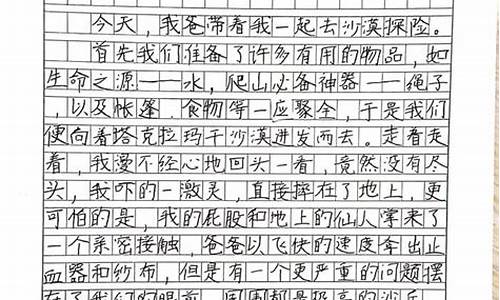 旅游攻略的作文500字_旅游攻略的作文5