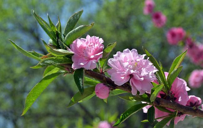 榴花公园地铁站时间表_榴花公园地铁站几点