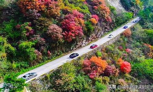 翠华山旅游攻略一日游 住哪儿_翠华山旅游攻略一日游 住哪儿合