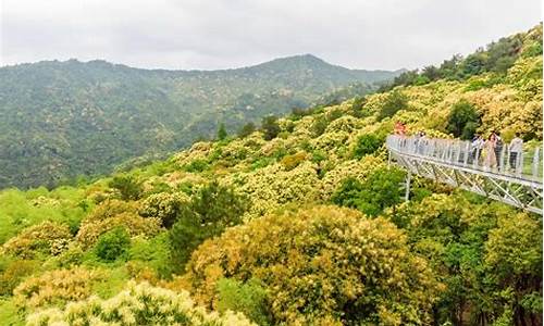 赣州旅游景点大全花海_赣州旅游景点大全花海图片