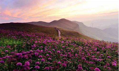 韭菜坪旅游攻略_韭菜坪旅游攻略及线路