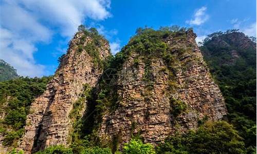 封开千层峰杂志_封开千层峰