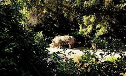 动植物公园_长春动植物公园