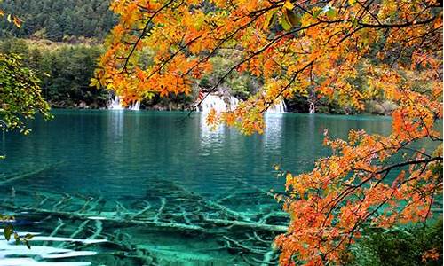 九寨沟风景区天气预报7天查询_九寨沟风景区天气