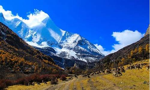 稻城亚丁旅游路线_稻城亚丁旅游攻略一份