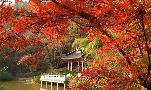 南京栖霞山门票涨价_南京栖霞山门票