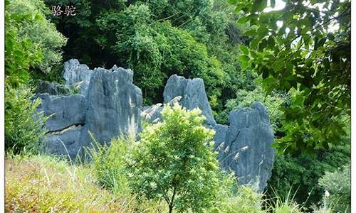 永安石林新建火车站规划图_永安石林