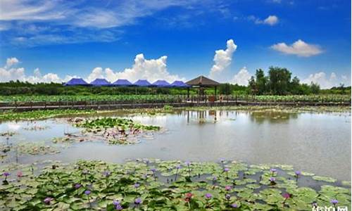 广州南沙湿地公园有什么好玩的地方_广州南沙湿地公园有什么好玩