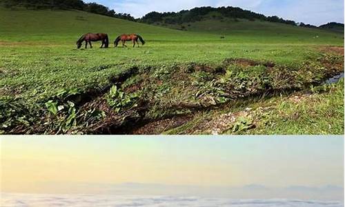 陕西关山牧场咨询电话_陕西关山牧场旅游攻略