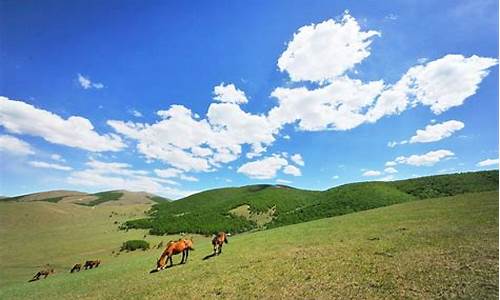 丰宁坝上草原旅游攻略2天需要多少钱_丰宁坝上草原旅游攻略2天需要多少钱一天