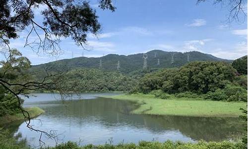 厦门天竺山森林公园要门票吗_厦门天竺山森林公园要门票吗现在